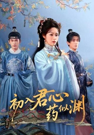 短剧初入君心药似渊海报