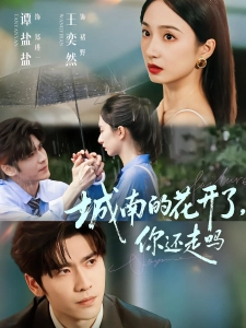 短剧城南的花开了，你还走吗海报