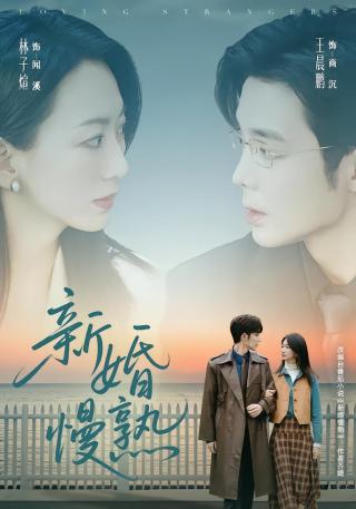 短剧新婚慢熟海报