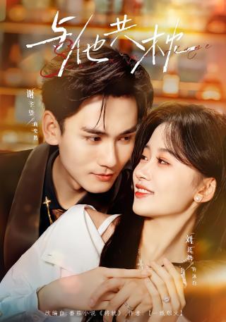 短剧与他共枕海报