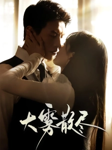 短剧大雾散尽海报