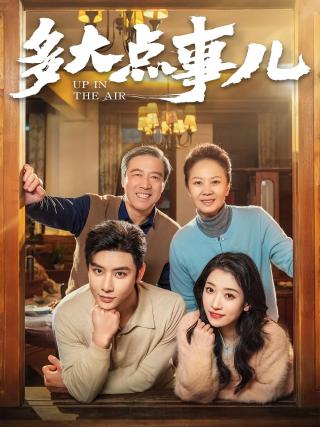 短剧多大点事儿海报