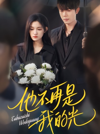 短剧他不再是我的光海报