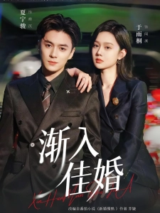 短剧渐入佳婚海报