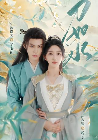 短剧刀如水海报