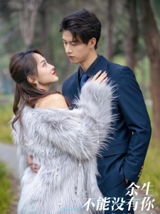 短剧余生不能没有你海报