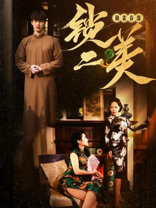 短剧铜雀春深锁二美海报