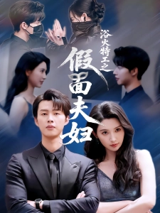 短剧浴火特工之假面夫妇海报