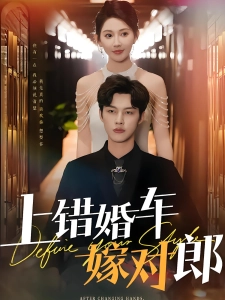 短剧上错婚车嫁对郎海报