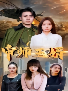 短剧帝师王婿海报