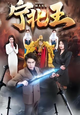 短剧宁北王海报