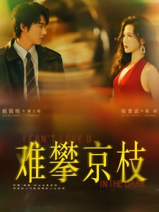 短剧难攀京枝海报