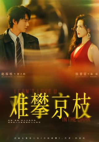 短剧难攀京枝海报