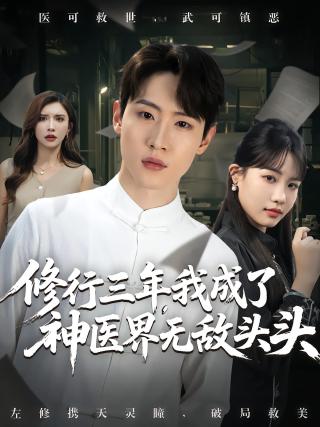 短剧修行三年，我成了神医界无敌头头海报