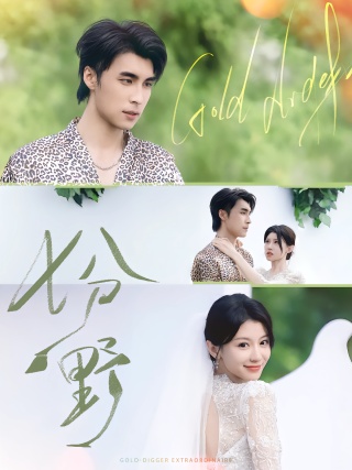 短剧七分野海报