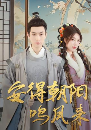 短剧安得朝阳鸣凤来海报