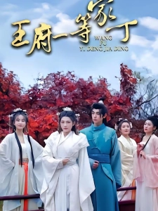 短剧王府一等家丁海报