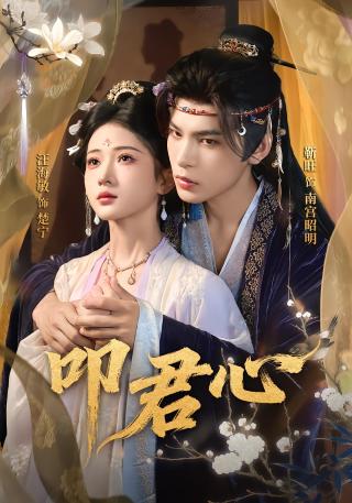 短剧叩君心海报