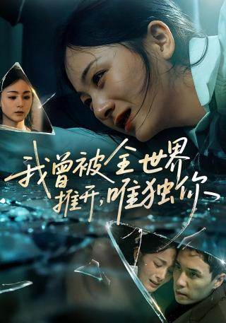 短剧我曾被全世界推开，唯独你海报