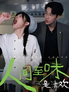 短剧人间至味是清欢海报