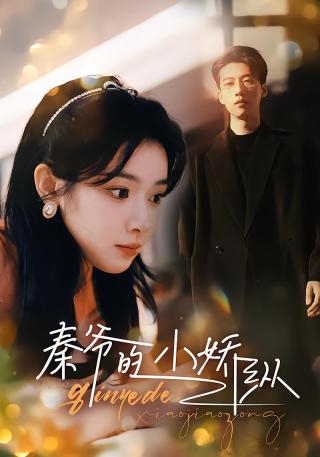 短剧秦爷的小娇纵海报