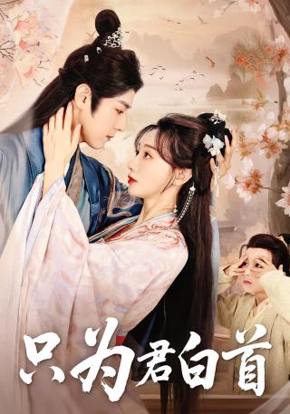 短剧只为君白首海报