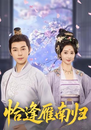 短剧恰逢雁南归海报