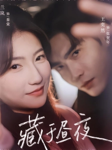 短剧藏于昼夜海报