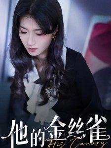 短剧他的金丝雀海报