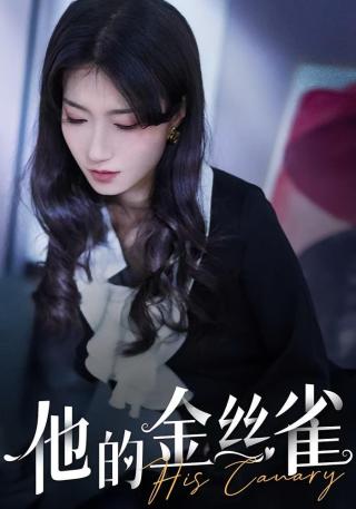 短剧他的金丝雀海报