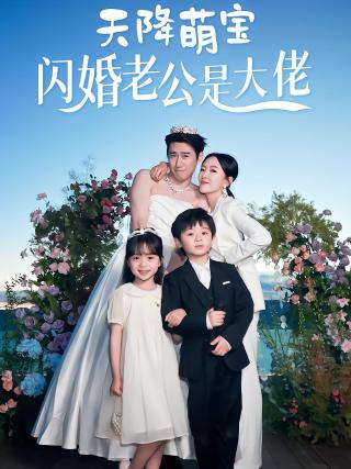 短剧天降萌宝闪婚老公是大佬海报