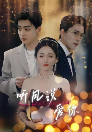 短剧听风说爱你海报