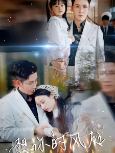 短剧想你时风起海报