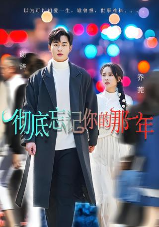 短剧彻底忘记你的那一年海报