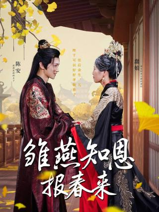 短剧雏燕知恩报春来海报