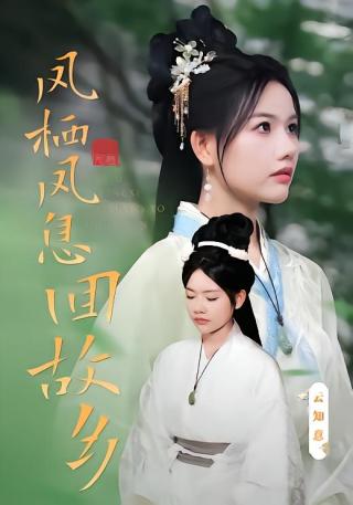 短剧凤栖凤息回故乡海报