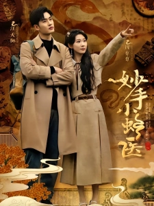 短剧妙手小蛇医海报