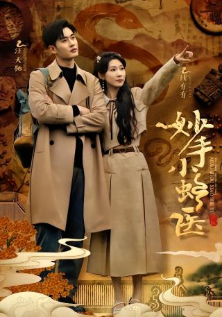 短剧妙手小蛇医海报