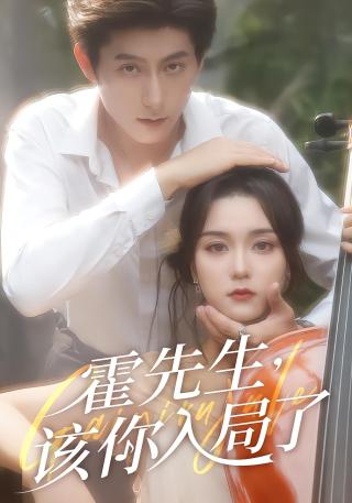 短剧霍先生，该你入局了海报