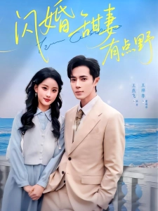 短剧闪婚甜妻有点野海报