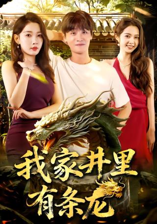 短剧我家井里有条龙海报