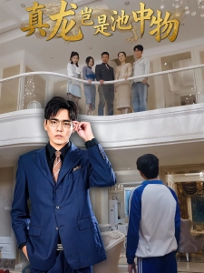 短剧真龙岂是池中物海报
