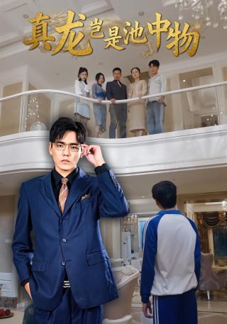 短剧真龙岂是池中物海报