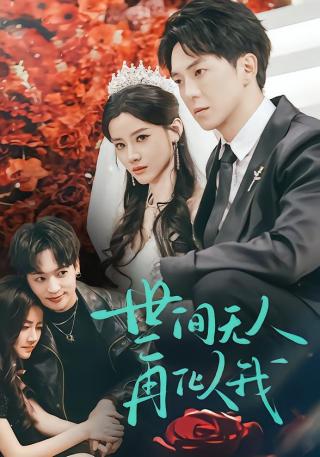 短剧世间无人再似我海报