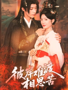 短剧彼岸难渡相思苦海报