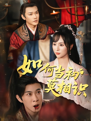 短剧如何当初莫相识海报