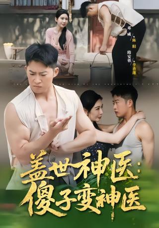 短剧乡村圣手小医王海报