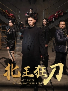 短剧北王狂刀海报