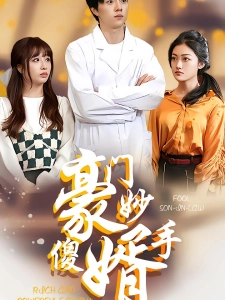 短剧豪门妙手傻婿海报