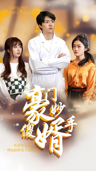 短剧豪门妙手傻婿海报